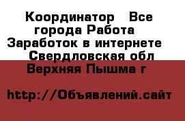 ONLINE Координатор - Все города Работа » Заработок в интернете   . Свердловская обл.,Верхняя Пышма г.